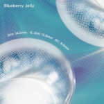 Blueberry Jelly|1 Day,6pcs