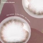 Camellia Brown(1 Day)