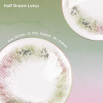 Dreamy Lotus