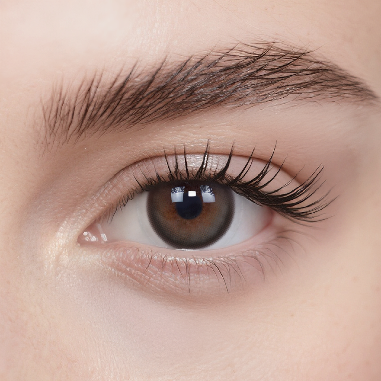 Espresso Pixels|1 Day,20pcs Espresso Pixels|1 Day,20pcs