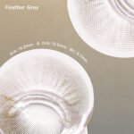 Feather Gray