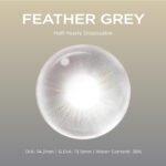 Feather Gray