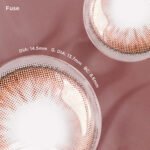 Fuse