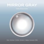 Mirror Gray