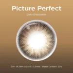 Picture Perfect