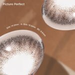 Picture Perfect(Trial)