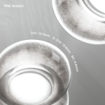 The Moon