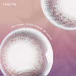 Tipsy Fig(1 Day)